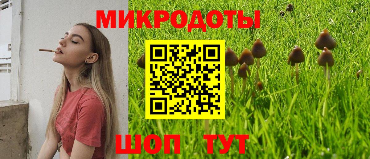 Псилоцибиновые грибы Psilocybine cubensis  Галлюциногенные грибы Psilocybe  Вход с VPN  Волоколамск 