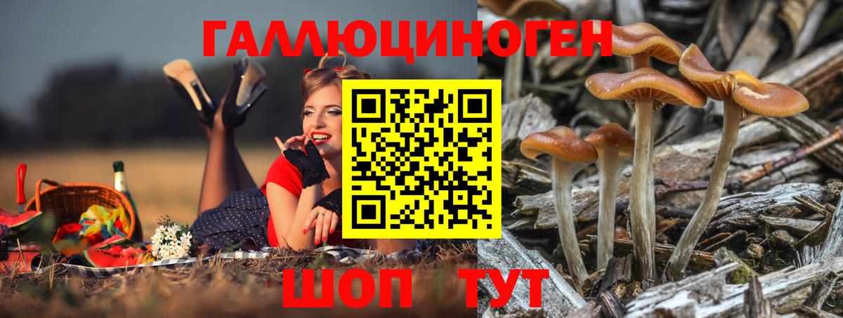Галлюциногенные грибы ЛСД Волоколамск